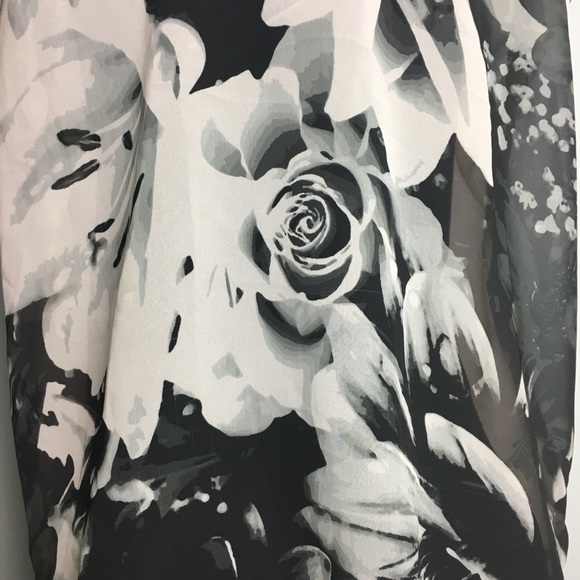 Vision of Roses with Sheer Back Blouse - Picture 4 of 7